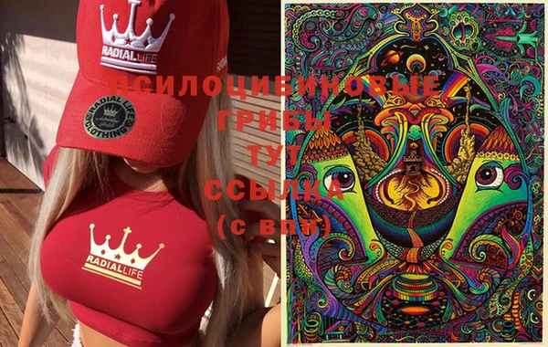 винт Алзамай