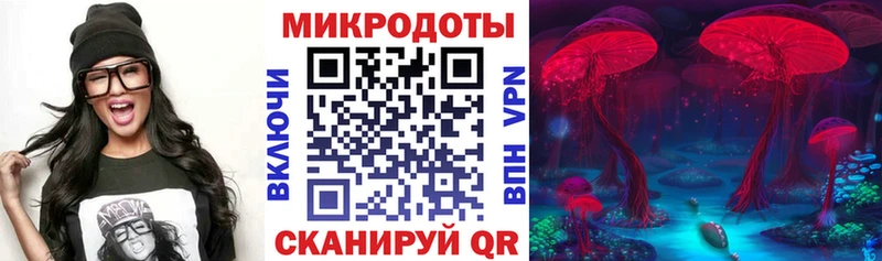 наркошоп  Нижний Новгород  Псилоцибиновые грибы прущие грибы 